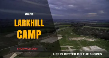 Unveiling Larkhill Camp: A Journey Through History and Nature