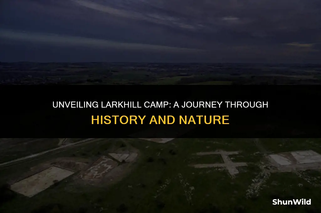 what is larkhill camp