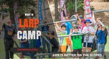 Exploring the Enchanting World of LARP Camps: A Beginner's Guide