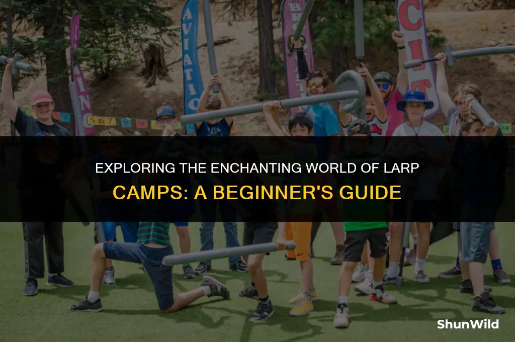 what is larp camp