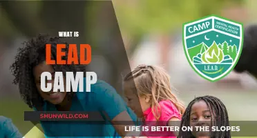 Exploring Lead Camp: A Comprehensive Guide to Its Meaning and Uses