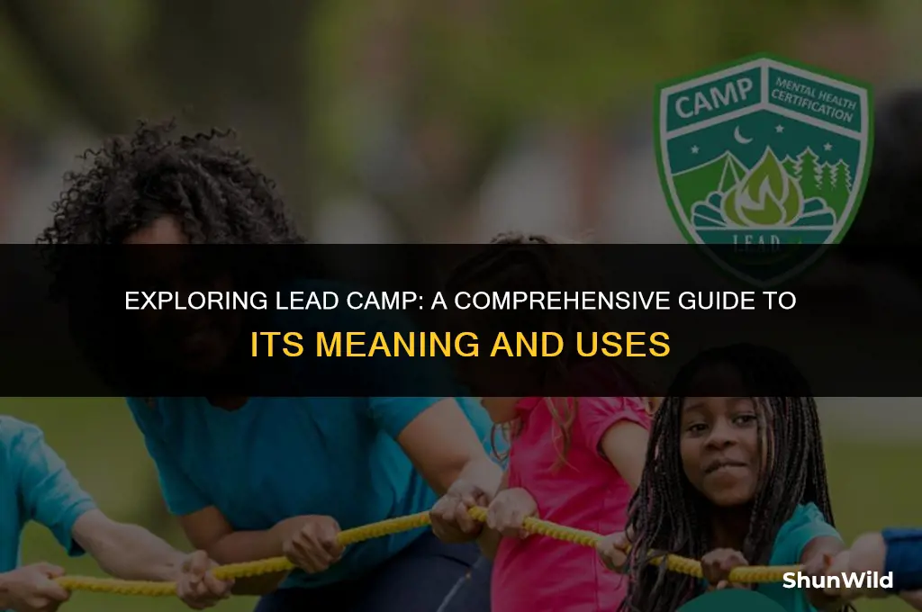 what is lead camp