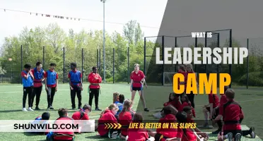 Exploring the Essence of Leadership Camps: A Comprehensive Guide