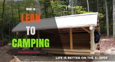 Exploring the Great Outdoors: A Beginner's Guide to Lean-To Camping