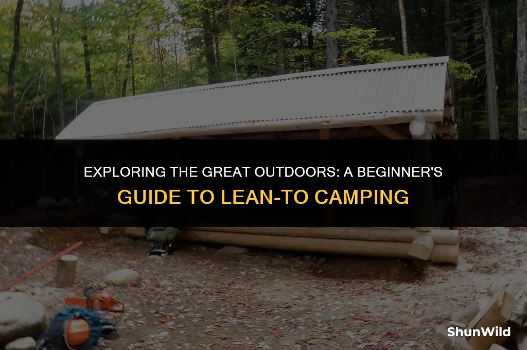 what is lean to camping
