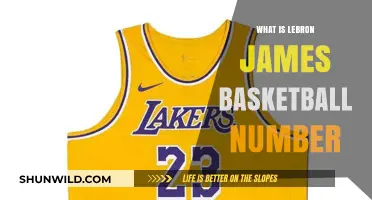 The Significance of LeBron's Jersey Number