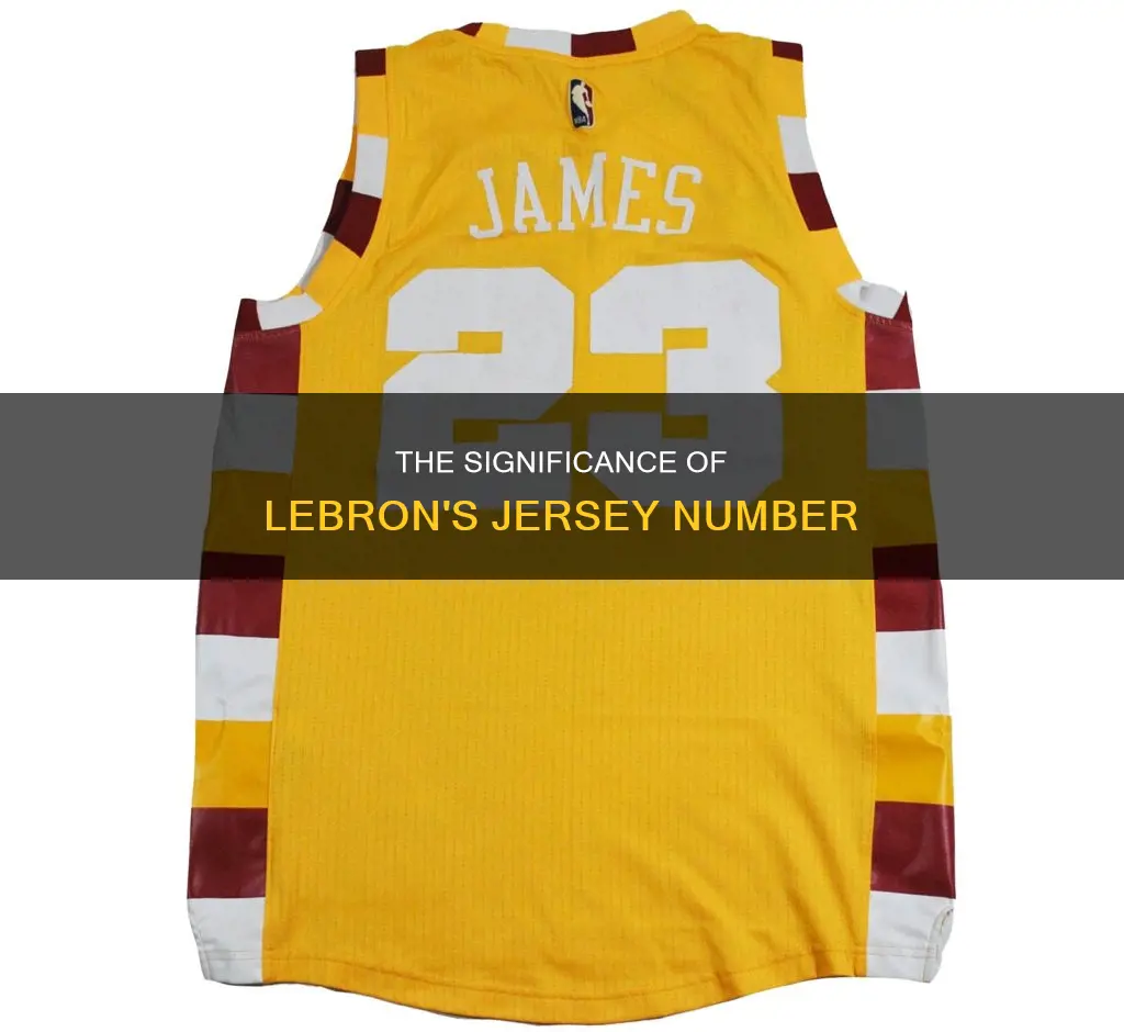 what is lebron james basketball number