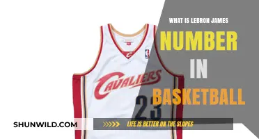 LeBron's Iconic Number: 23 Jersey Legacy