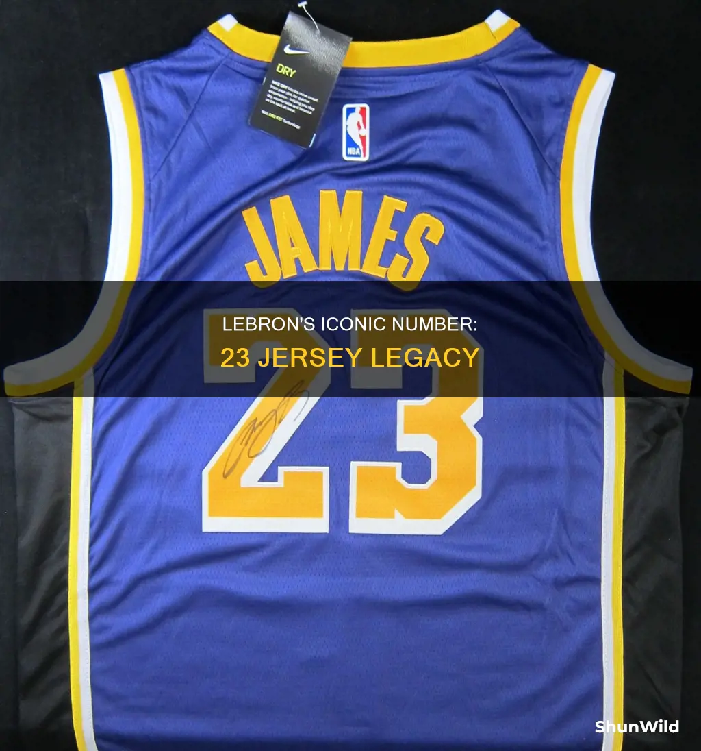 what is lebron james number in basketball