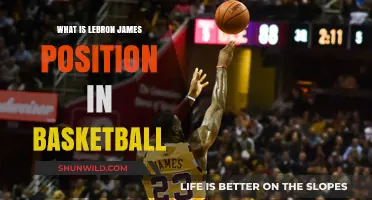 LeBron James: Basketball's Most Versatile Player