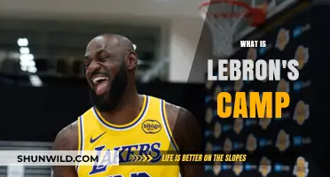 Exploring LeBron's Camp: A Comprehensive Guide to His Training Regime