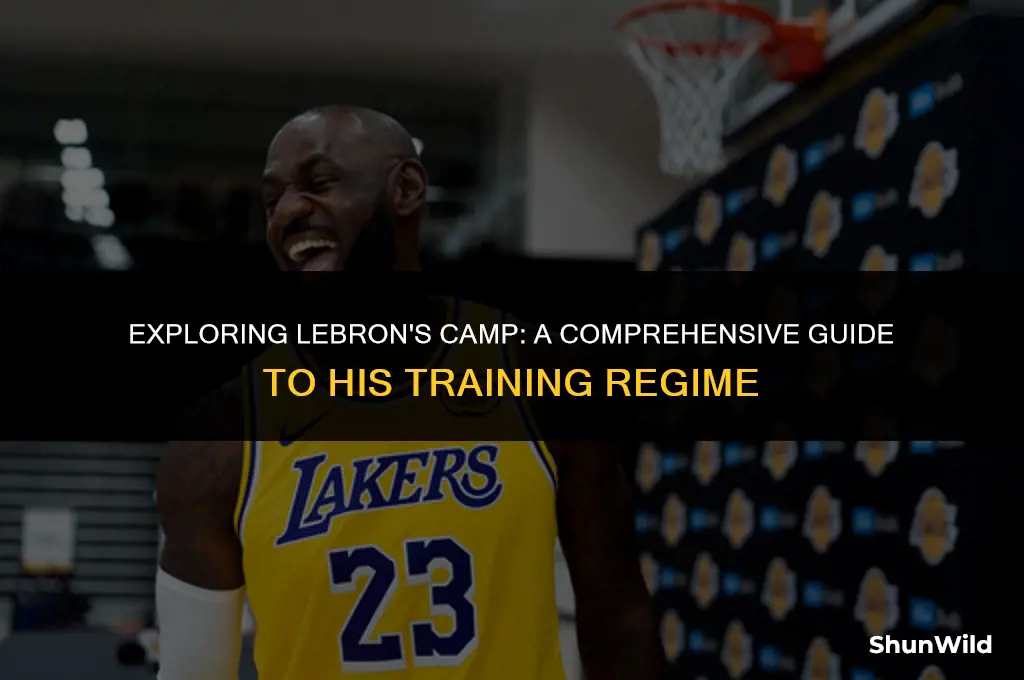 what is lebron