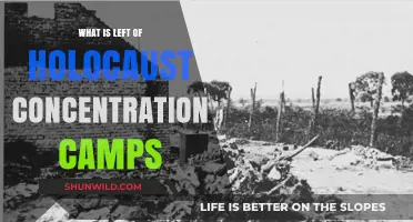 Preserving Holocaust Concentration Camps: What Remains of History's Dark Legacy