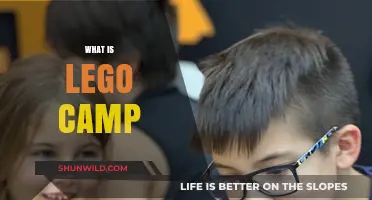 Building Memories: The Ultimate LEGO Camp Experience