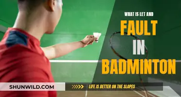 Understanding Faults and Lets in Badminton