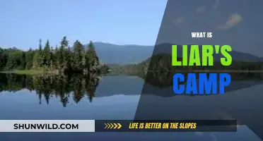 Unveiling the Enigma: What is Liar's Camp?