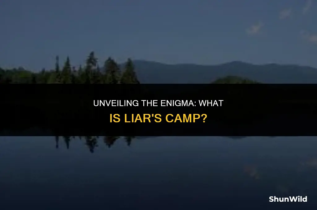 what is liar