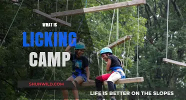 Exploring the Intriguing World of Licking Camps: A Comprehensive Guide
