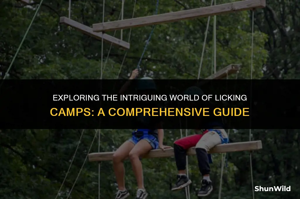 what is licking camp