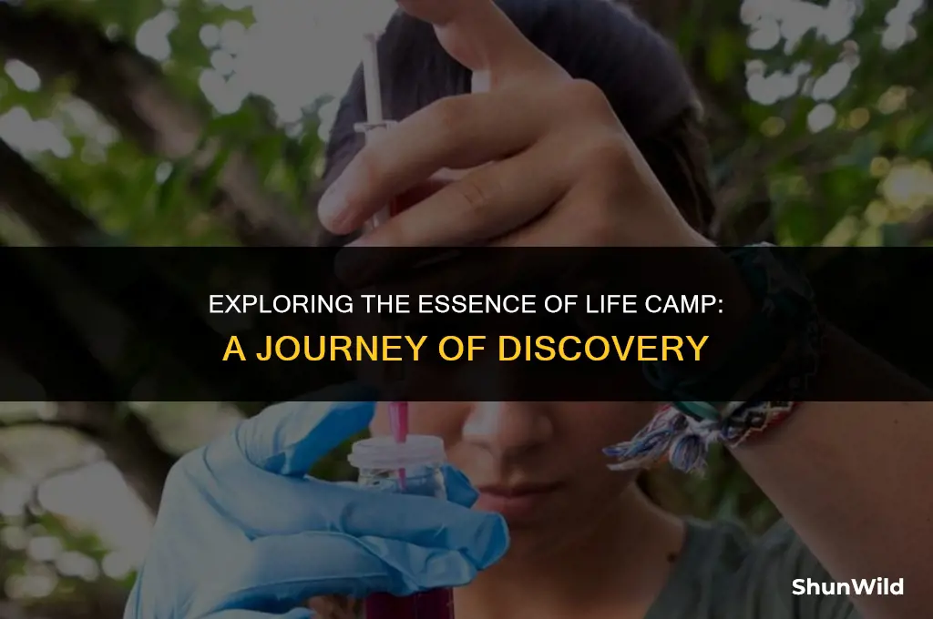 what is life camp