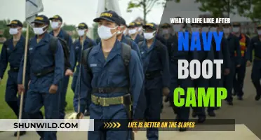 Life After Navy Boot Camp: Challenges, Growth, and New Beginnings