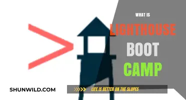 Lighthouse Boot Camp: Transforming Careers Through Intensive Tech Training