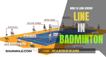 The Long Service Line: Badminton's Strategic Advantage