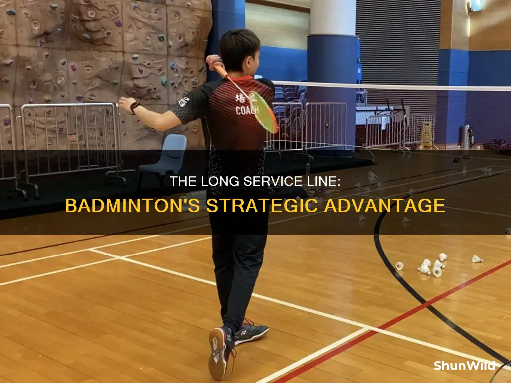 what is long service line in badminton
