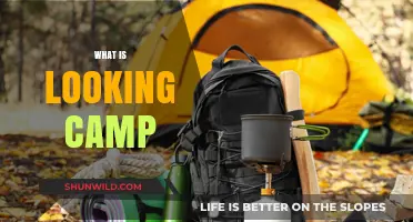 Exploring the Great Outdoors: A Beginner's Guide to Camping