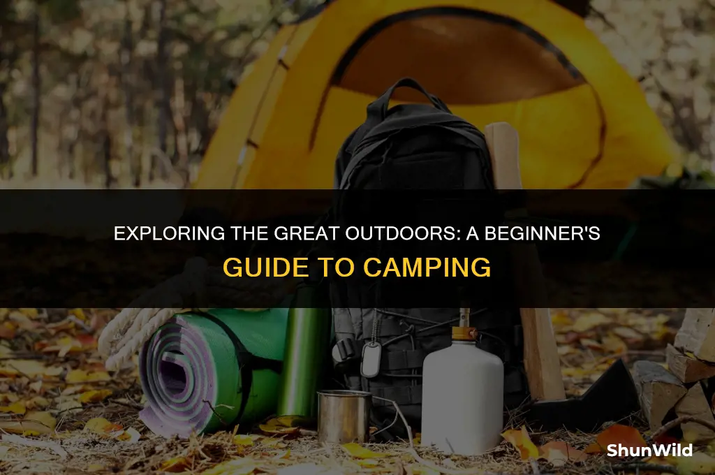 what is looking camp