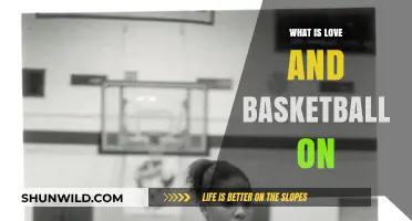 Love & Basketball: A Guide to Relationships and Sports