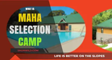 Unlocking Opportunities: Inside the Maha Selection Camp Experience