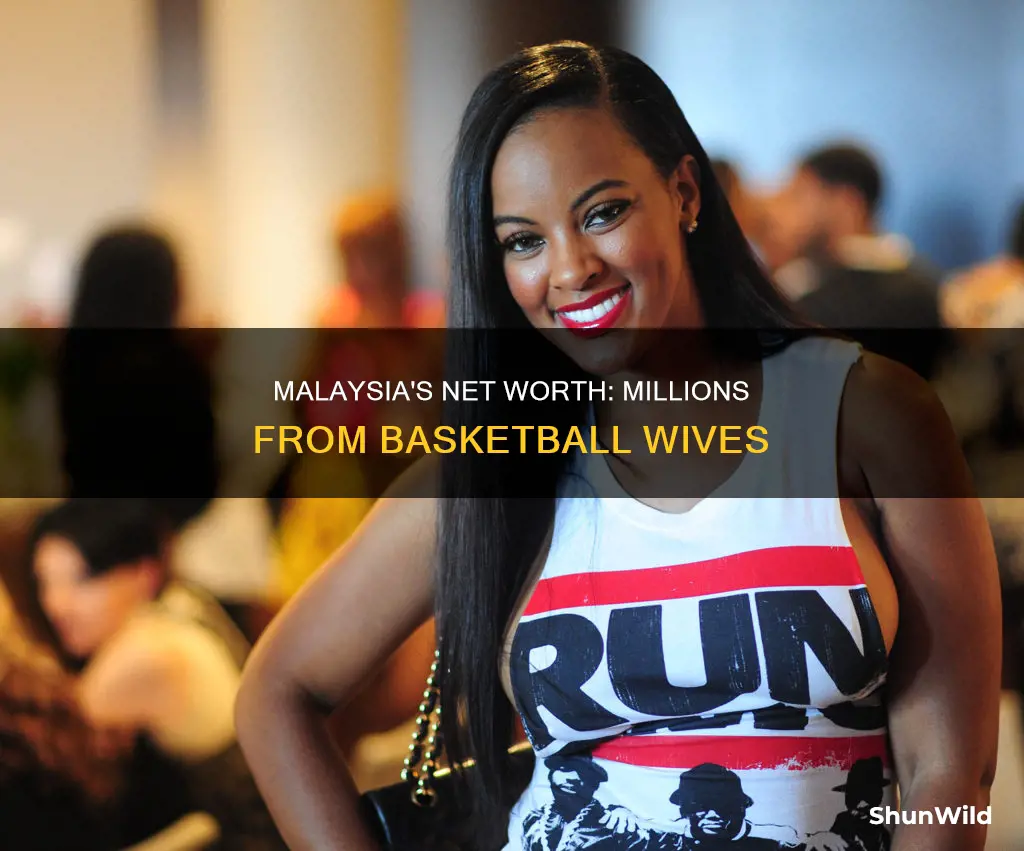 what is malaysia from basketball wives net worth