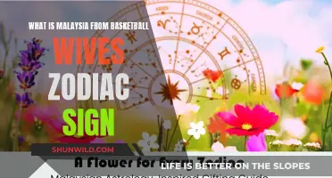 Basketball Wives Star Malaysia's Zodiac Sign Revealed