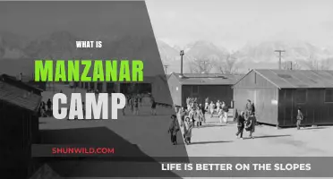 Unveiling Manzanar: Understanding the History of the Camp