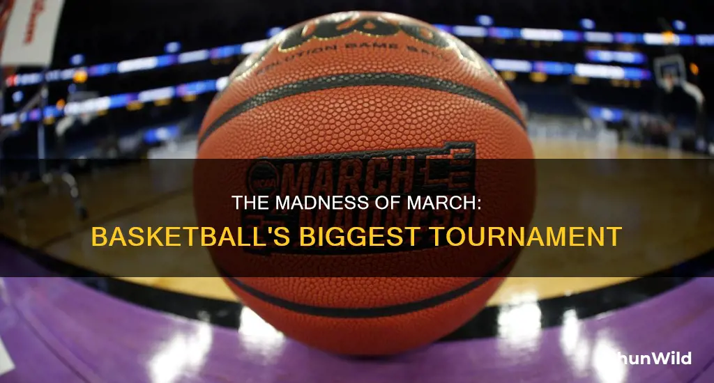what is march madness in basketball
