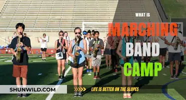 Exploring the Rhythm and Camaraderie of Marching Band Camp