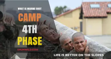Marine Boot Camp 4th Phase: Unlocking Advanced Training and Skills