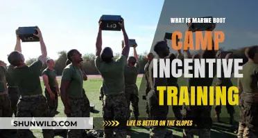 Marine Boot Camp Incentive Training: Unlocking Discipline, Strength, and Teamwork