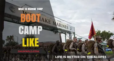 Marine Corps Boot Camp: Rigorous Training, Discipline, and Transformation Explained