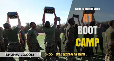 Marine Week at Boot Camp: Unveiling the Intense Training Experience