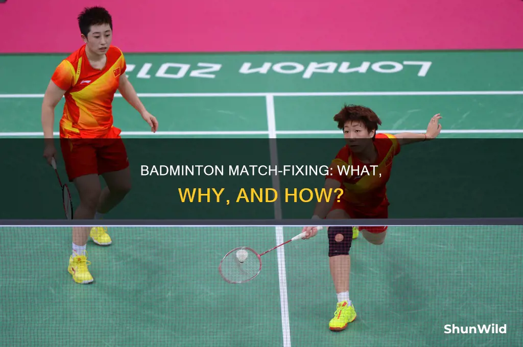 what is match fixing in badminton