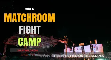 Exploring Matchroom Fight Camp: A Comprehensive Guide to the Premier Boxing Event
