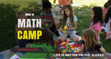 Unlocking Potential: The Engaging World of Math Camps