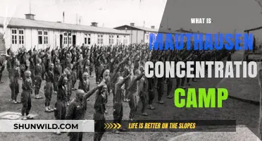 Mauthausen Concentration Camp: History, Horrors, and Legacy Explained