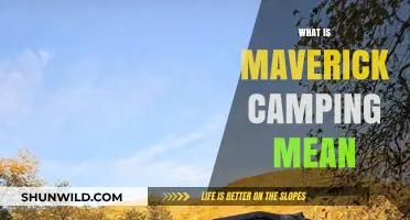 Exploring the Great Outdoors: What Does Maverick Camping Mean?