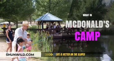 Exploring McDonald's Camp: A Fun-Filled Adventure for Kids