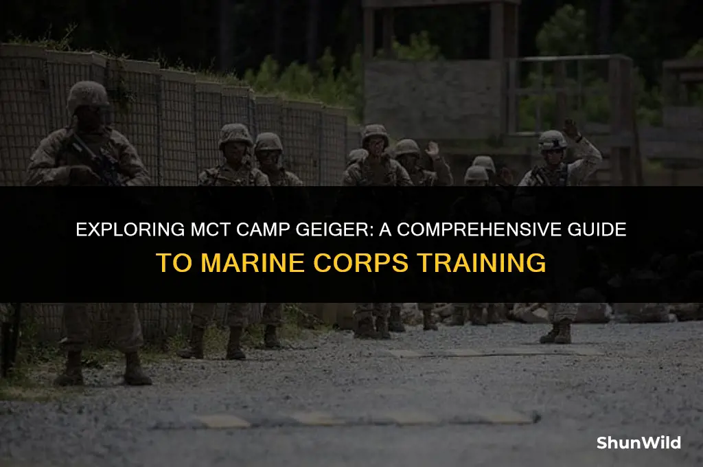 what is mct camp geiger