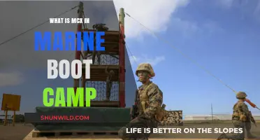 Understanding MCX: A Marine Boot Camp Essential Explained