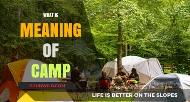 Exploring the Essence: What Does 'Camp' Really Mean?
